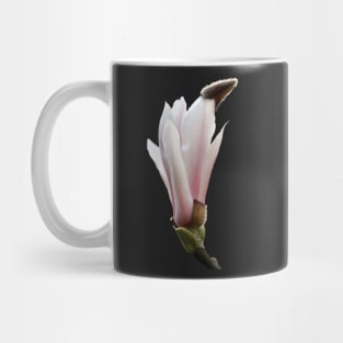 Magnolia flower Mug